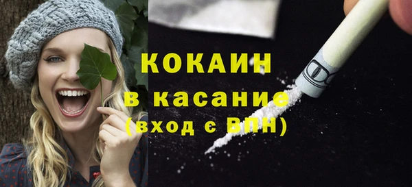 твердый Арсеньев