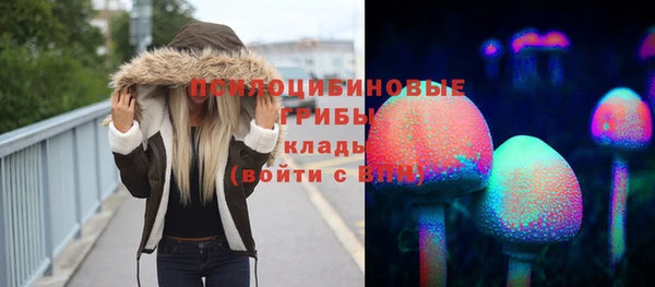 твердый Арсеньев