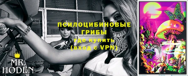 твердый Арсеньев